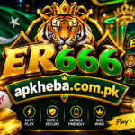 er666 game